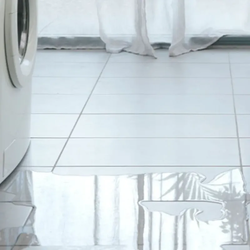 Appliance Leak Cleanup in Tribune, KS