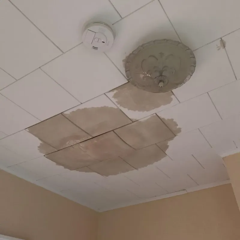 Ceiling Water Damage Repair in Tribune, KS