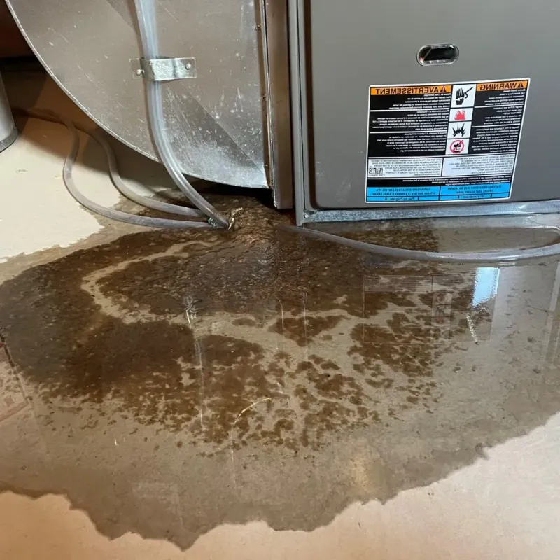 Pipe Burst and Leak Restoration in Tribune, KS